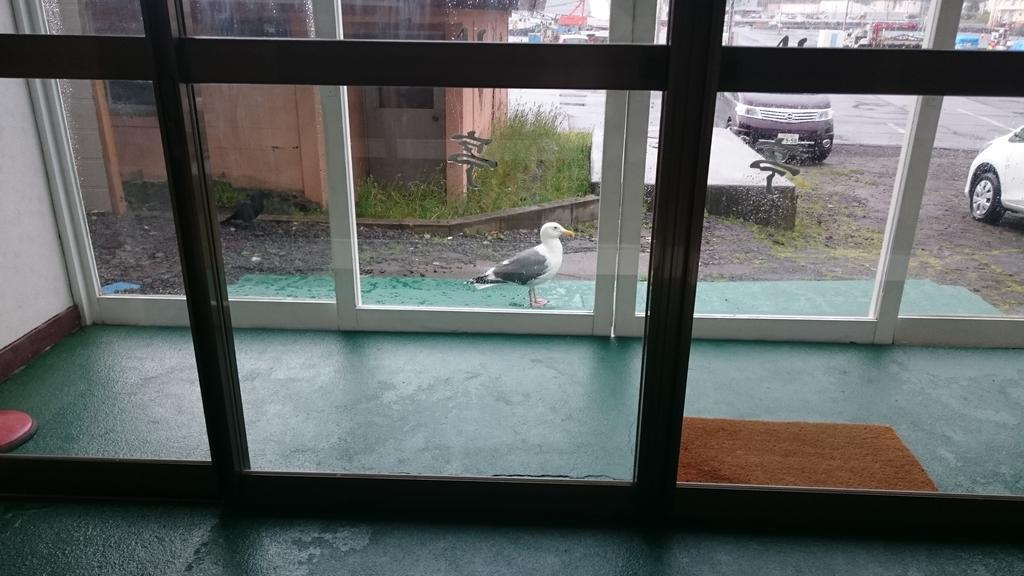 Ryokan Saihokutei Risirifudzsi Kültér fotó